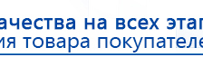 Прибор Дэнас ПКМ купить в Карпинске, Аппараты Дэнас купить в Карпинске, Дэнас официальный сайт denasolm.ru