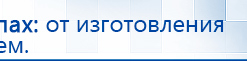 ДЭНАС-ПКМ (Детский доктор, 24 пр.) купить в Карпинске, Аппараты Дэнас купить в Карпинске, Дэнас официальный сайт denasolm.ru